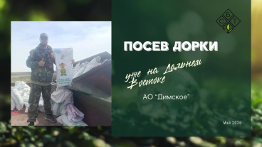 Посев Дорки на Дальнем Востоке: АО "Димское"